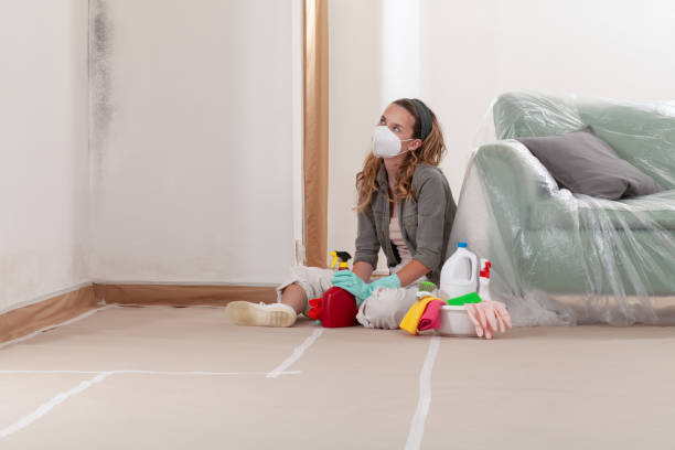 Reliable Commercial Mold Remediation contractor in Upperco, MD by WQB Mold Removal